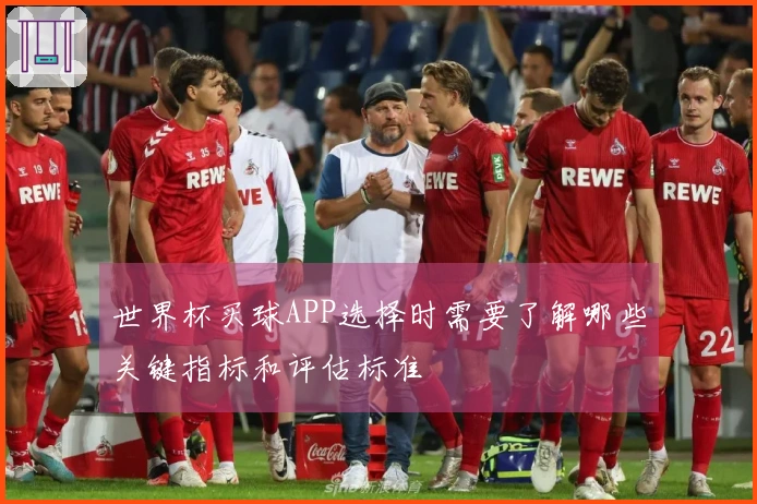 世界杯买球APP选择时需要了解哪些关键指标和评估标准