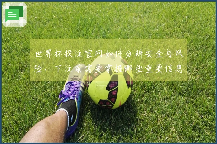 世界杯投注官网如何分辨安全与风险,下注前需要掌握哪些重要信息?