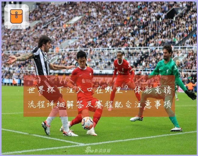 世界杯下注入口在哪里?体彩竞猜流程详细解答及赛程配合注意事项